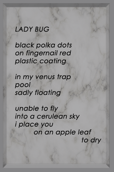 Poem from the Starlight Collection entitled LadyBug