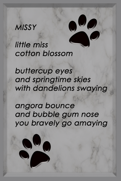 Missy Poem with Paws