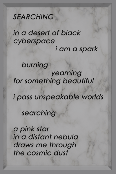 Poem from the Starlight Train Collection entitled Searching
